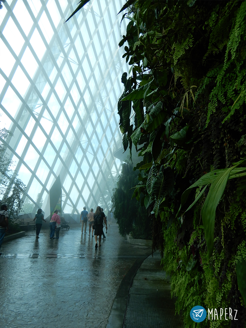 cloud-forest-dome-gardens-by-the-bay-02