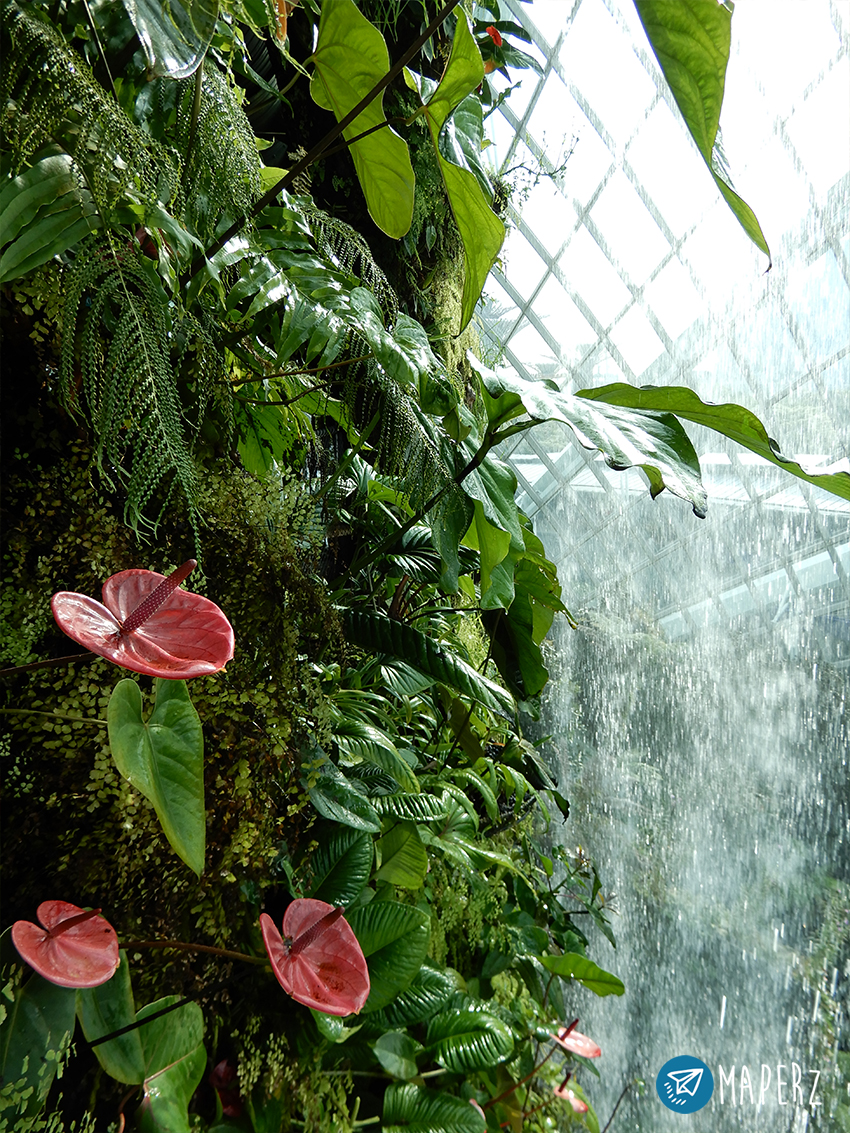 cloud-forest-dome-gardens-by-the-bay-05