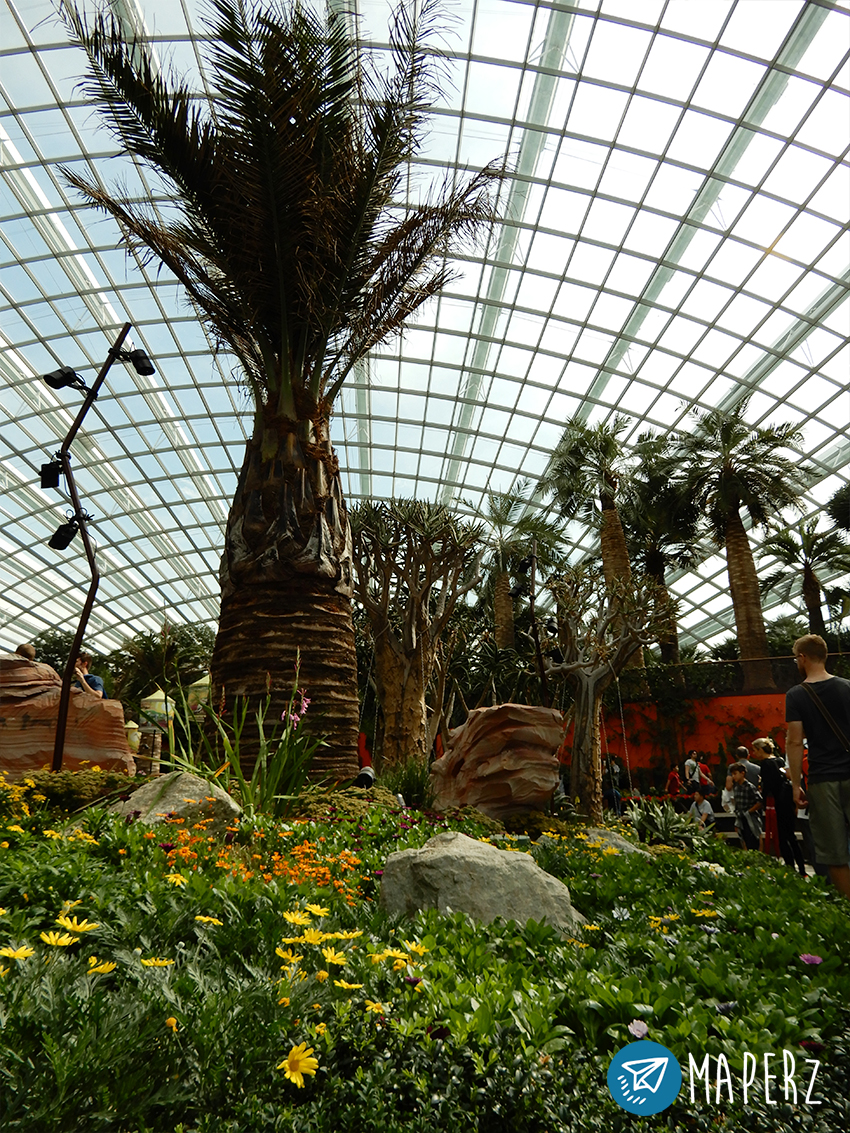 flowers-dome-gardens-by-the-bay-singapur-02